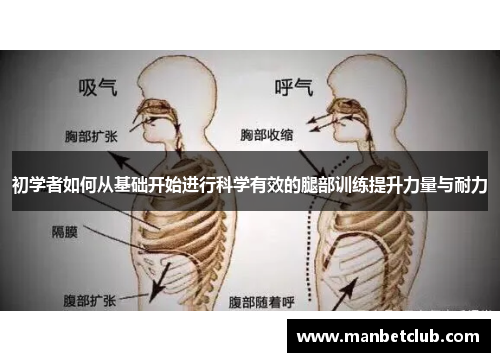 初学者如何从基础开始进行科学有效的腿部训练提升力量与耐力